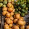Coconut Mango
