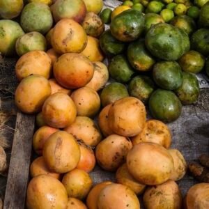 Coconut Mango