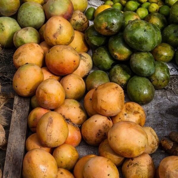 Coconut Mango