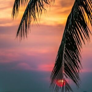 Moody Summer Sunset