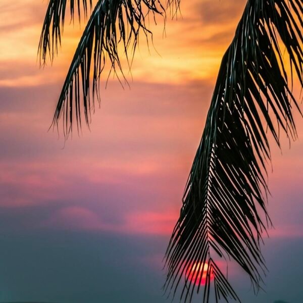 Moody Summer Sunset