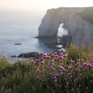 Purple Beach Flowers