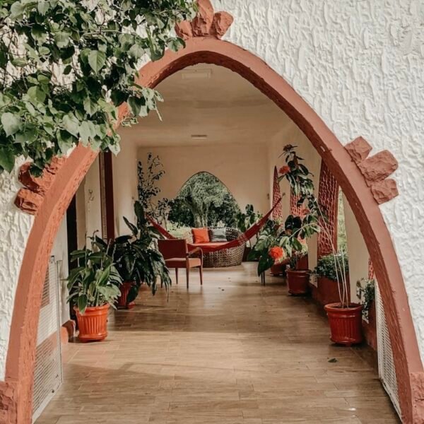tropical retreat lounge